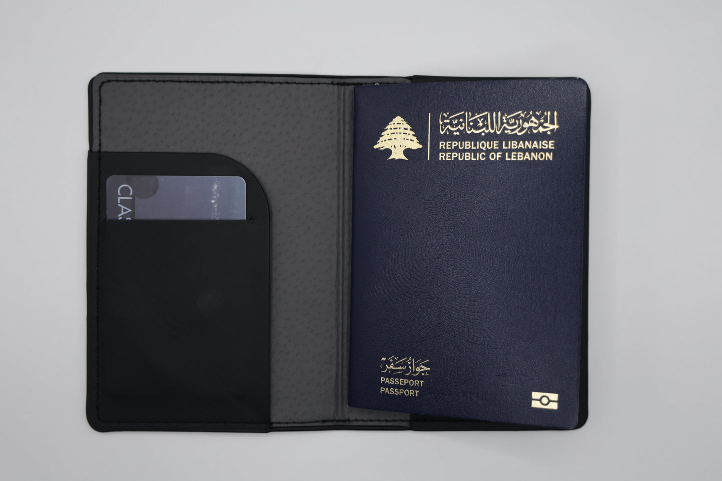 Passport holder simple